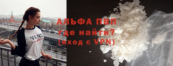 прущие грибы Бугульма