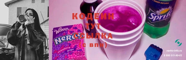 прущие грибы Бугульма