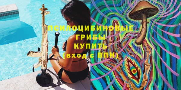 МДПВ Верея