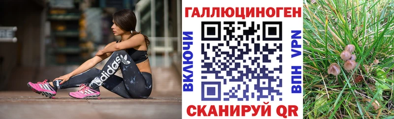 Псилоцибиновые грибы Psilocybe  где можно купить   Княгинино 